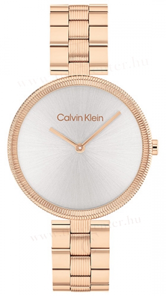 Calvin Klein CK25100013 karóra