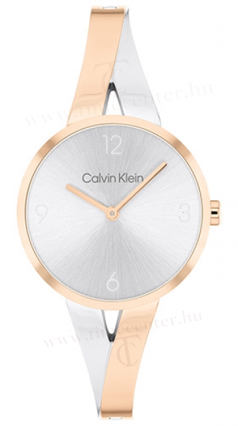 Calvin Klein CK25100028 karóra