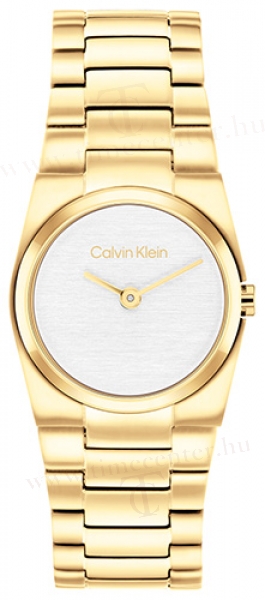 Calvin Klein CK25100122 karóra