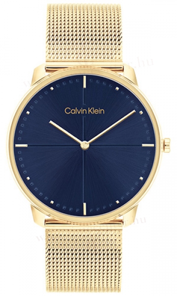 Calvin Klein CK25200153 karóra