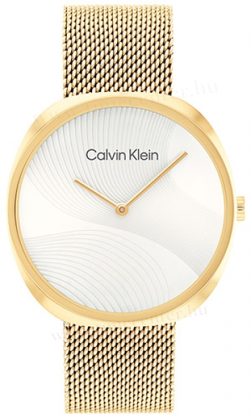 Calvin Klein CK25200246 karóra