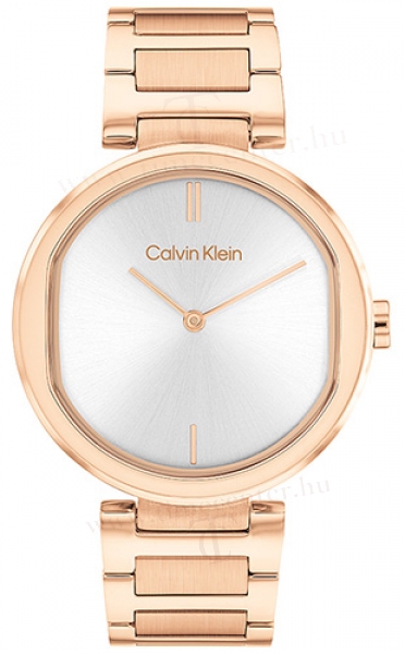 Calvin Klein CK25200253 karóra