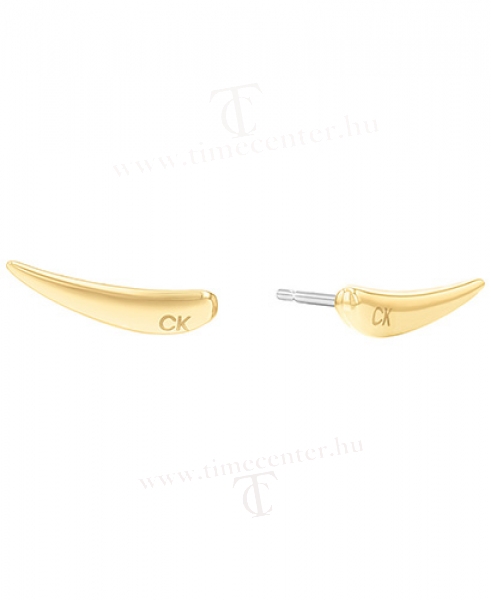 Calvin Klein Ékszer CKJ35000345 fülbevaló